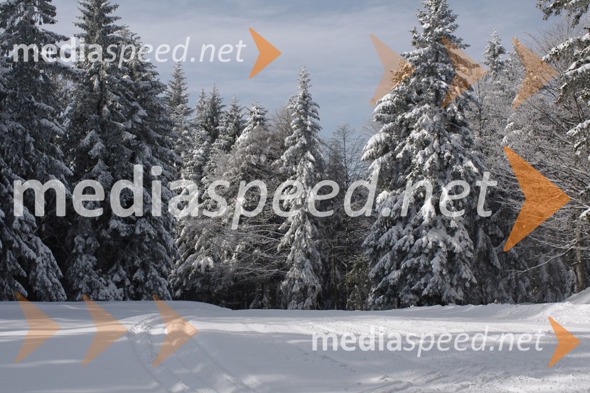 Zimska pravljica na PohorjuZimska pravljica na Pohorju