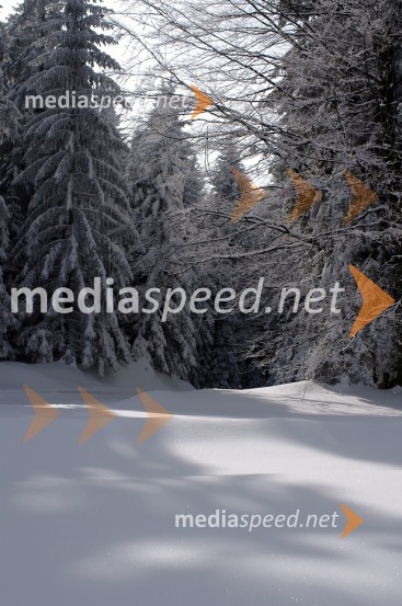 Zimska pravljica na PohorjuZimska pravljica na Pohorju