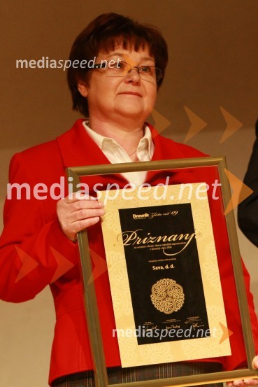 Tatjana Lozar, direktorica kompetenčnega centra kadri, pravo in organizacija podjetja Sava d.d.Zlata nit 2009, slavnostna razglasitev najboljših zaposlovalcev leta 2009