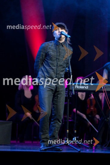 Saša Lošić, pevec skupine Plavi orkestarViktorji 2009, prireditev - dogajanje v dvorani