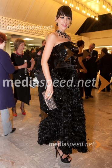 Iris Mulej, Miss Slovenije 2006Viktorji 2009, rdeča preproga in dogajanje pred dvorano