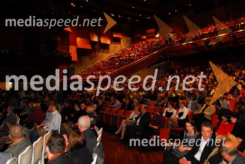 Obiskovalci dobrodelnega koncertaKoraki za korakce, dobrodelni koncert