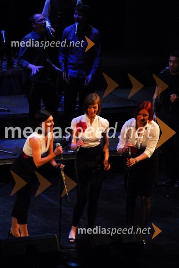 Perpetuum Jazzile, pevski zborKoraki za korakce, dobrodelni koncert