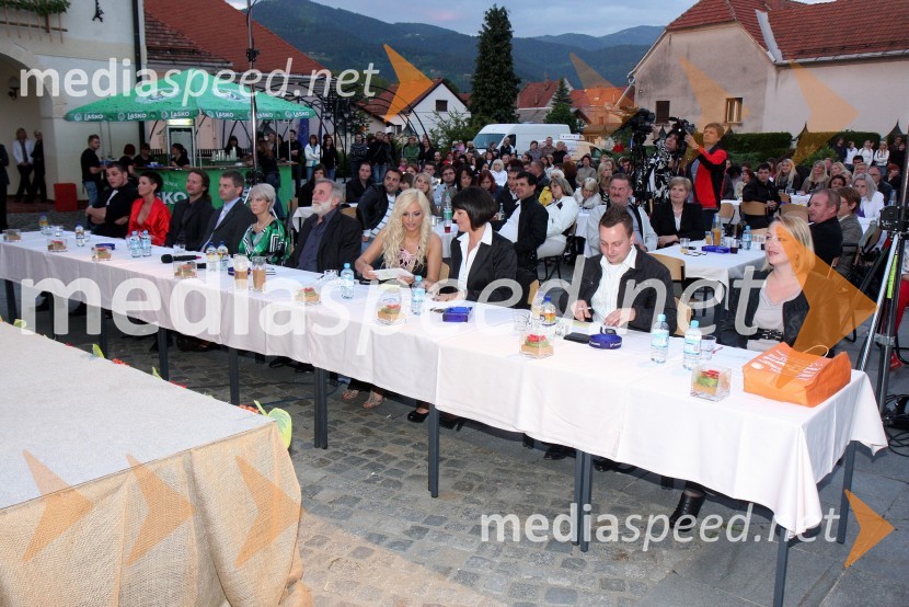 Miss Koroške 2010 je postala Sandra Skutnik