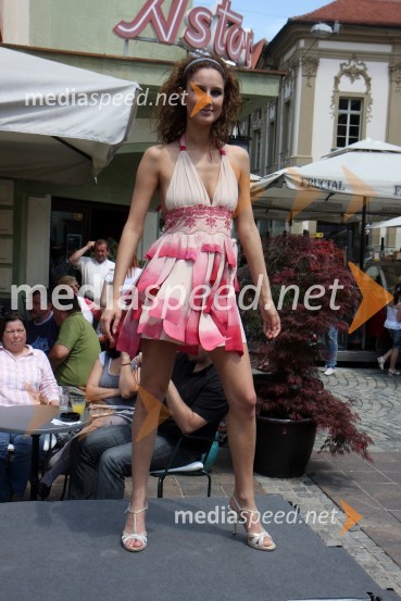 Anamarija Avbelj, Miss Universe Slovenije 2008Ezl ek, srečanje 2010, Jure Doležal postal frajer Ezl Eka