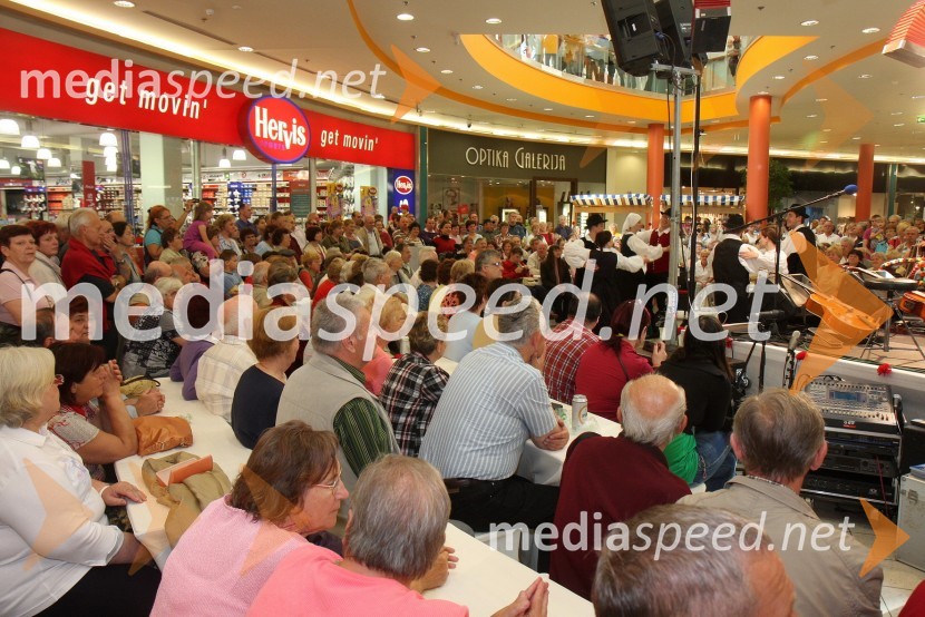 Obiskovalci2. festival narodnozabavne glasbe v Europarku