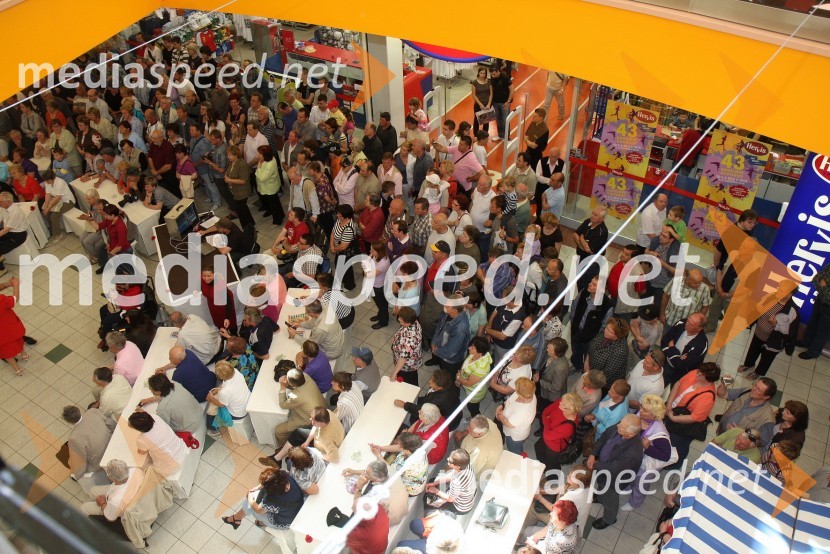 Obiskovalci2. festival narodnozabavne glasbe v Europarku