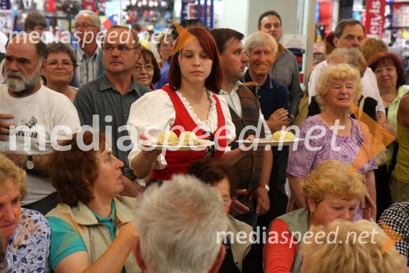 2. festival narodnozabavne glasbe v Europarku