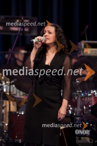 Darja Švajger, pevka  	 
Poletna noč 2010, koncert v čast Mojmiru Sepetu