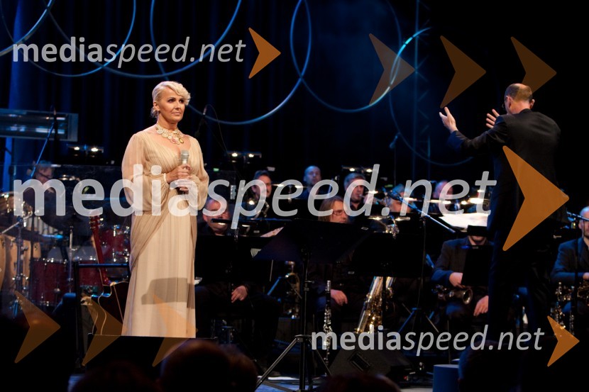 Alenka Godec, pevkaPoletna noč 2010, koncert v čast Mojmiru Sepetu