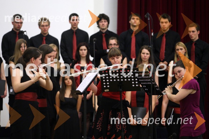 Kvartet flavtistk TibiaePrva podelitev diplom diplomantom Medicinske fakultete Univerze v Mariboru