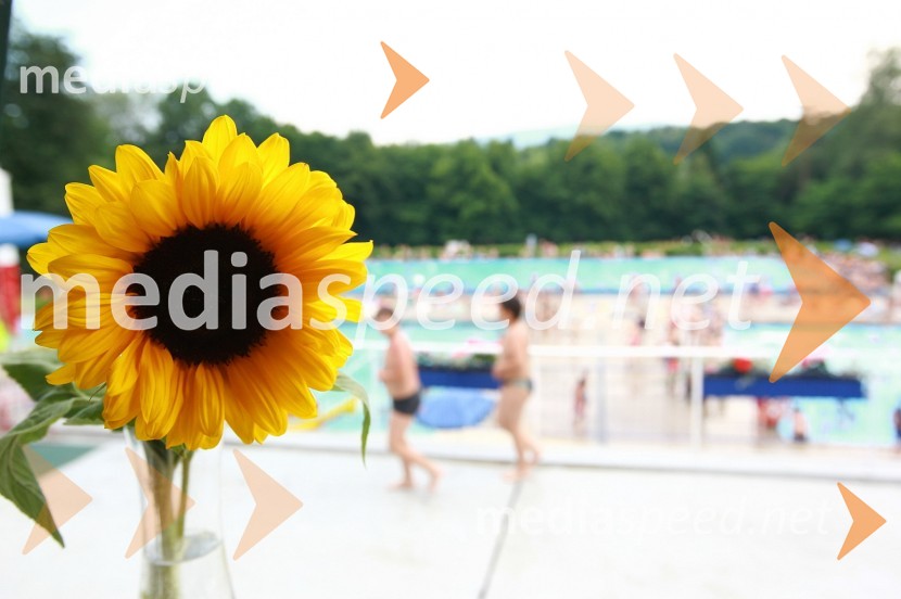 Mariborski otok - 80 let