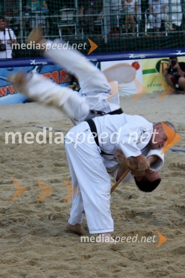 BeachMaster 2010