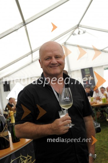 VIP teniški turnir 2010