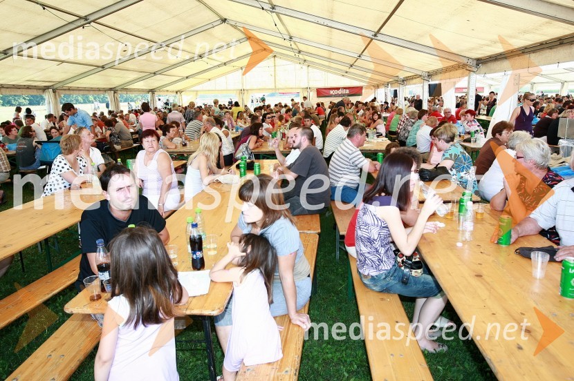 Dobrodelni koncert za bolnišnico Murska Sobota