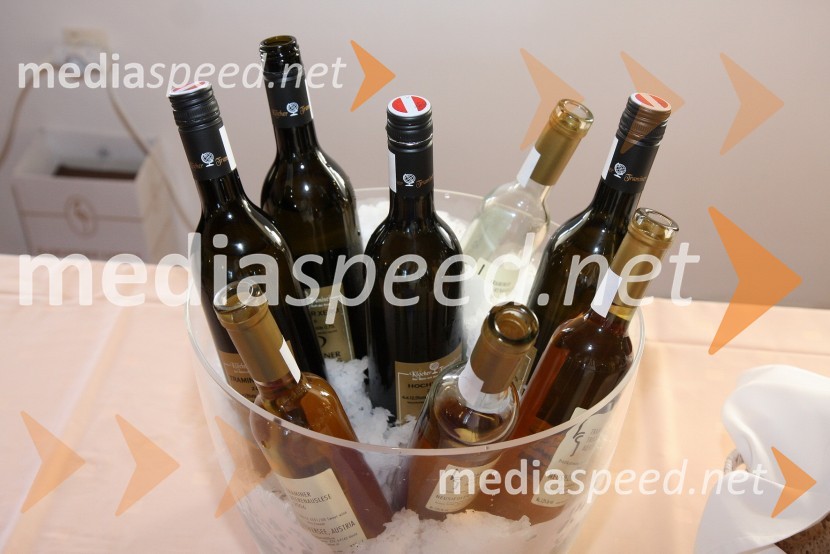 Salon Traminec 2010Salon Traminec 2010