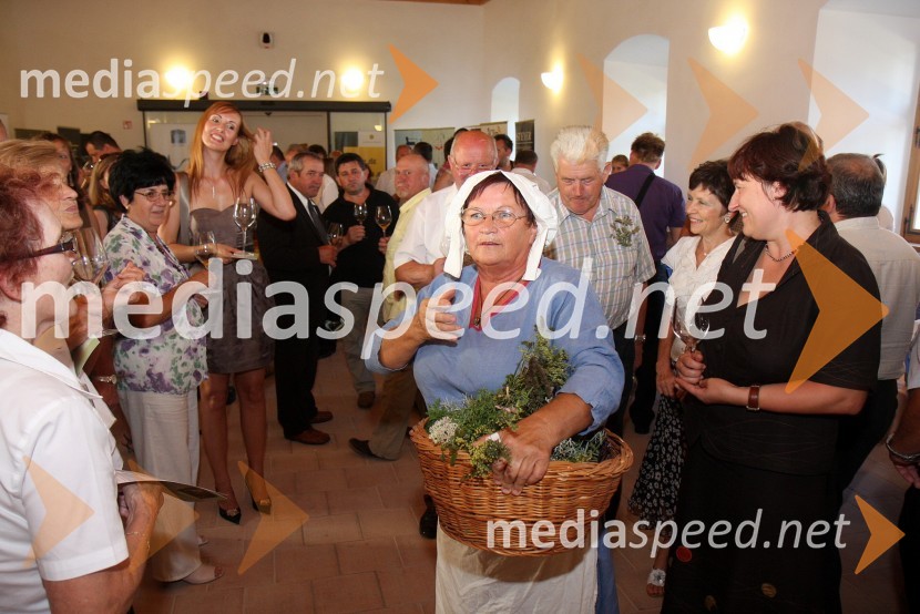 Dragica Starovasnik, članica turističnega društva Negova-Sp. Ivajnci ter nekdanja ravnateljica osnovne šole NegovaSalon Traminec 2010