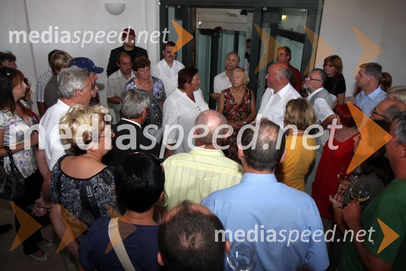 Ogled Gradu NegovaSalon Traminec 2010