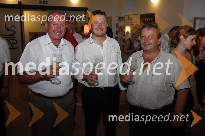 ..., Danilo Steyer, vinogradništvo Steyer vina in ...Salon Traminec 2010