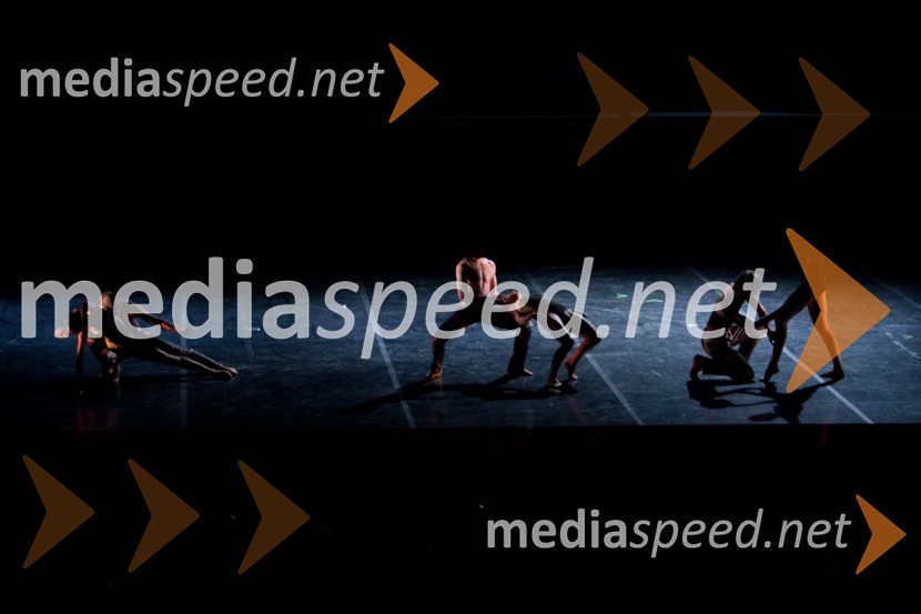 Watching others, prizor iz predstaveFestival Ljubljana 2010: Watching others, balet