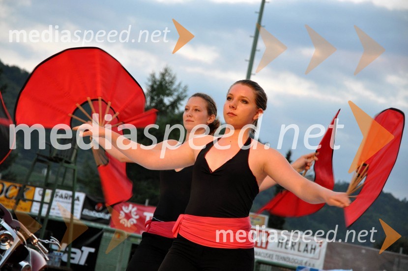 PlesalkeVIP teniški turnir 2010