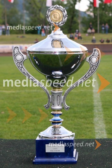 pokal za dirko Franca BabičaSPEEDWAY, 23. zlati znak občine Krško in pokal Franca Babiča