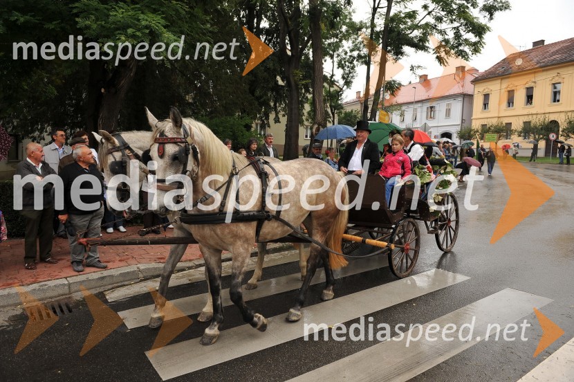 Lendavska trgatev 2010