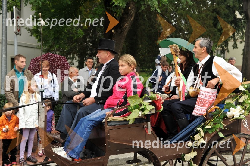 Valentina Houbar, Prekmurska vinska kraljicaLendavska trgatev 2010
