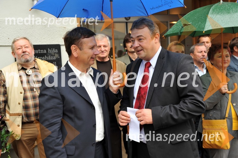 Lendavska trgatev 2010