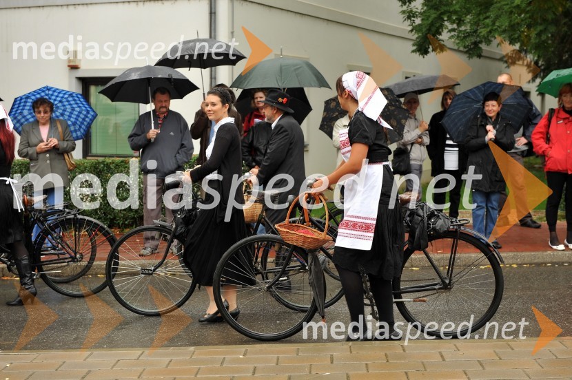 Lendavska trgatev 2010