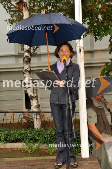 Lendavska trgatev 2010