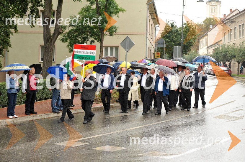 Lendavska trgatev 2010