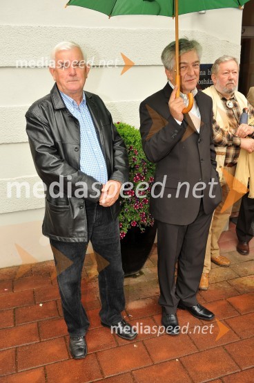 Lendavska trgatev 2010