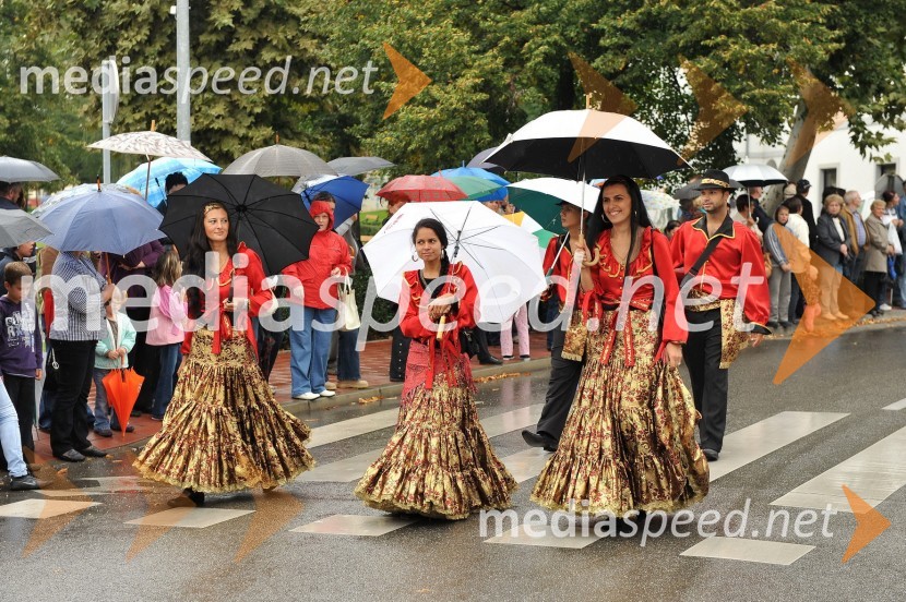 Lendavska trgatev 2010