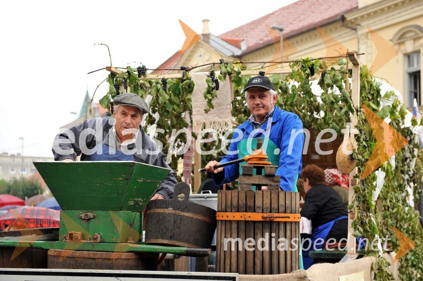 Lendavska trgatev 2010