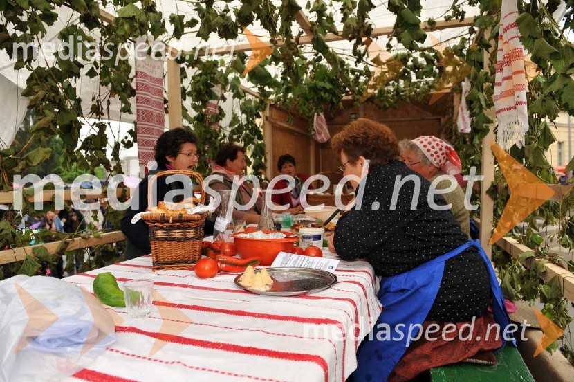 Lendavska trgatev 2010