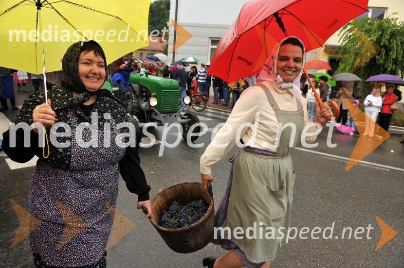 Lendavska trgatev 2010