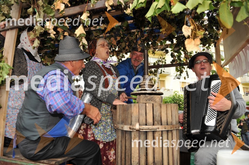 Lendavska trgatev 2010