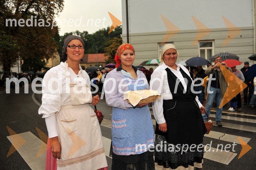 Lendavska trgatev 2010