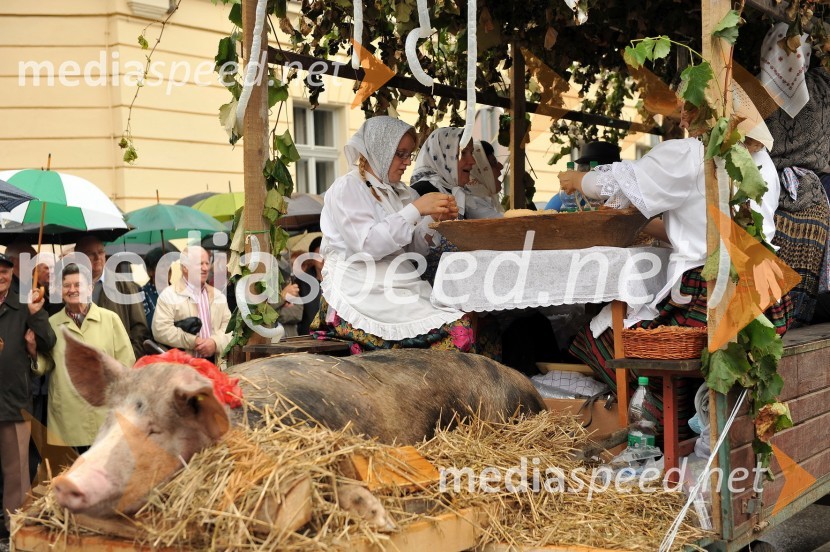 Lendavska trgatev 2010