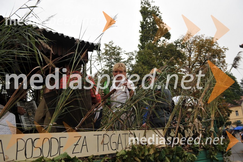 Lendavska trgatev 2010