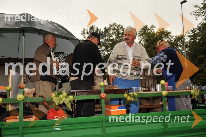 Lendavska trgatev 2010