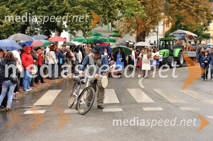 Lendavska trgatev 2010