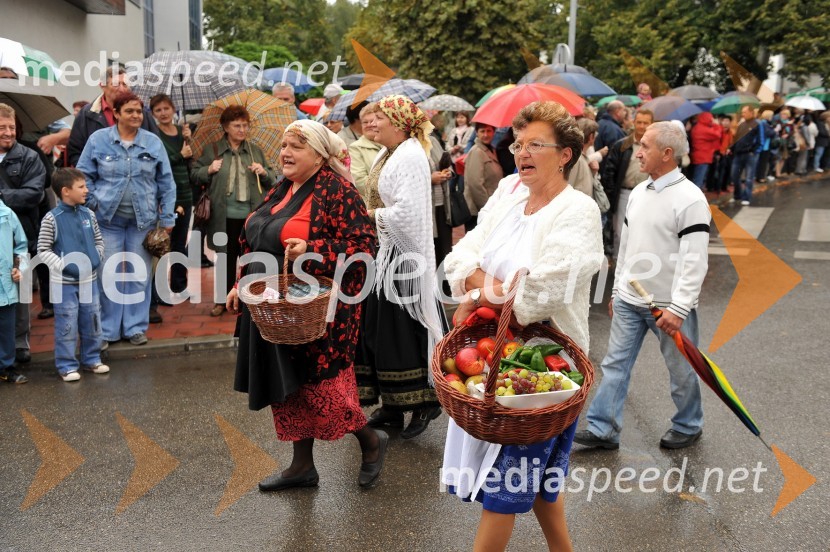 Lendavska trgatev 2010