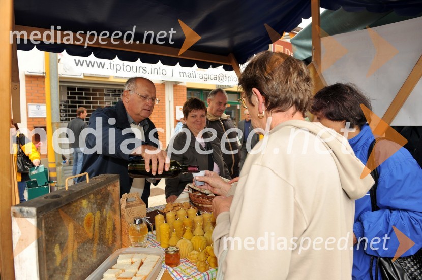 Lendavski čebelarjiLendavska trgatev 2010