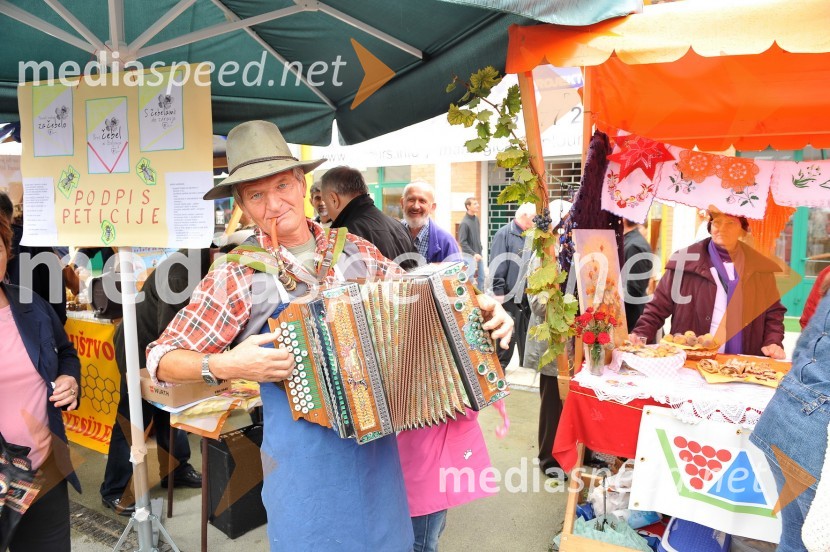 Lendavska trgatev 2010