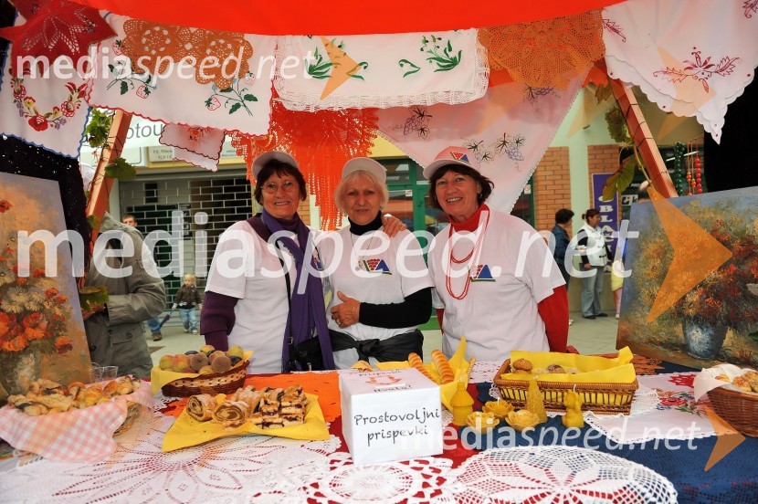 Lendavska trgatev 2010