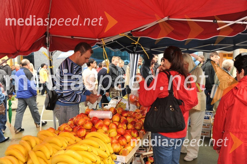 Lendavska trgatev 2010