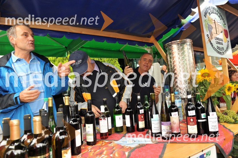 Lendavska trgatev 2010