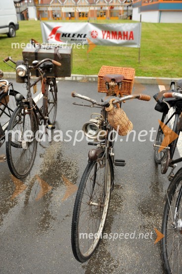 Lendavska trgatev 2010